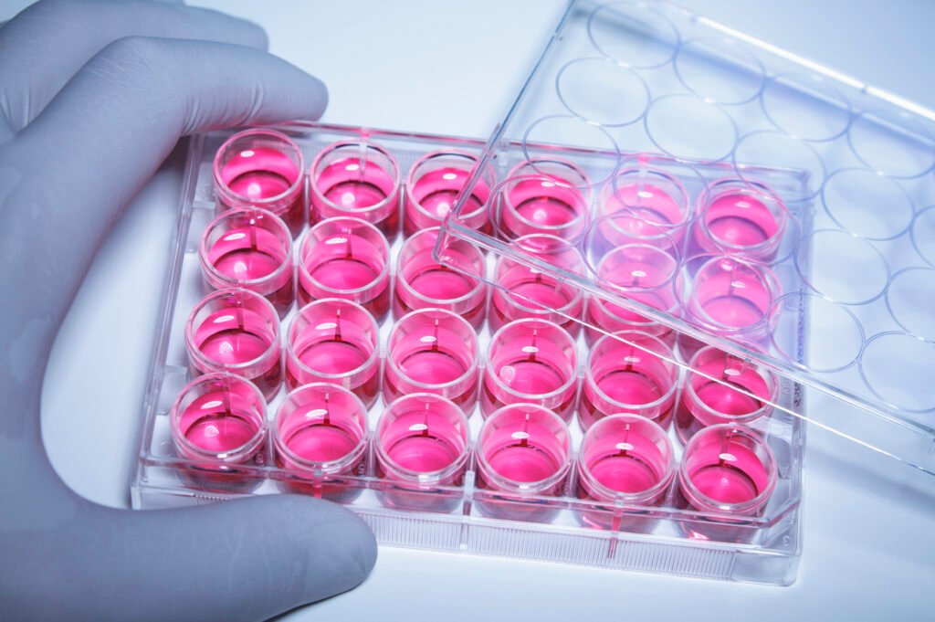 Stem Core stem cell — stem cell culture, Tijuana
